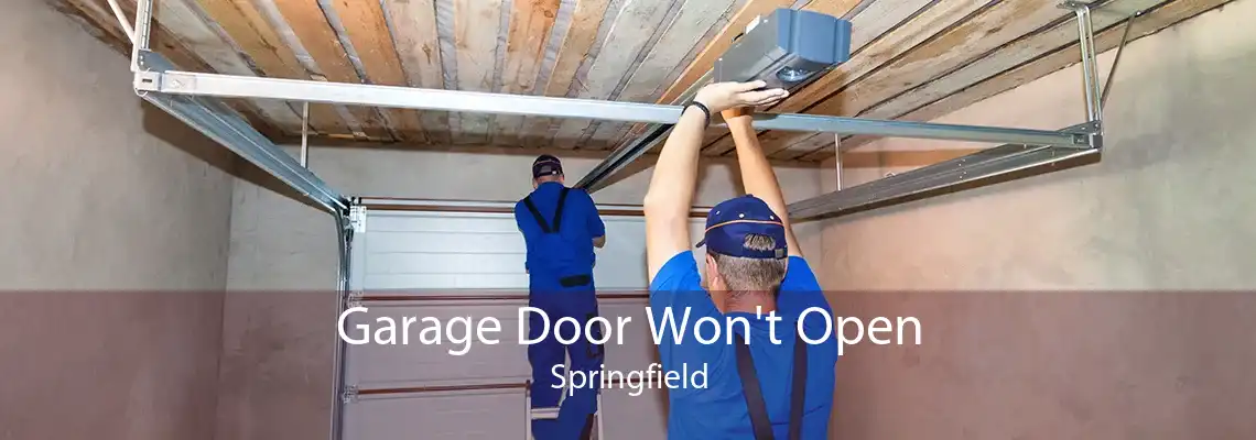 Garage Door Won't Open Springfield