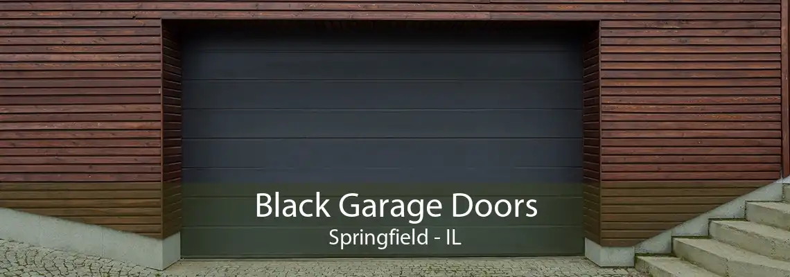 Black Garage Doors Springfield - IL