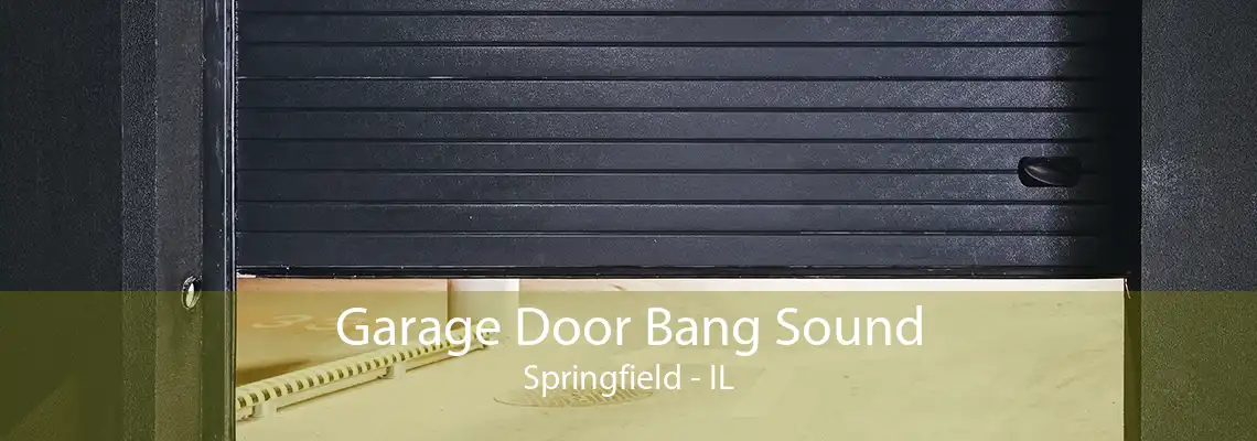 Garage Door Bang Sound Springfield - IL