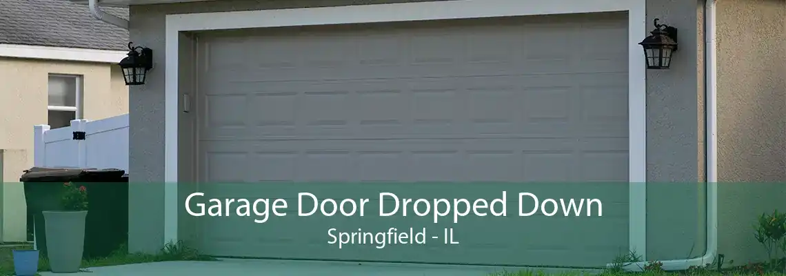 Garage Door Dropped Down Springfield - IL