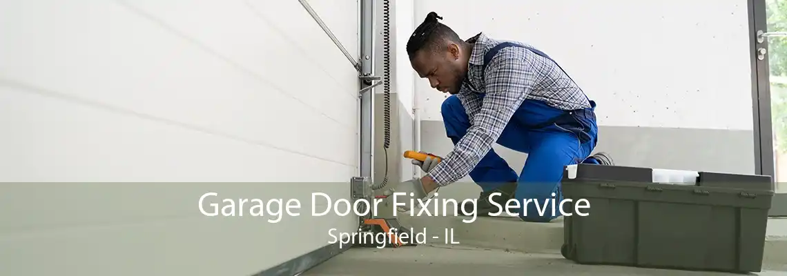 Garage Door Fixing Service Springfield - IL