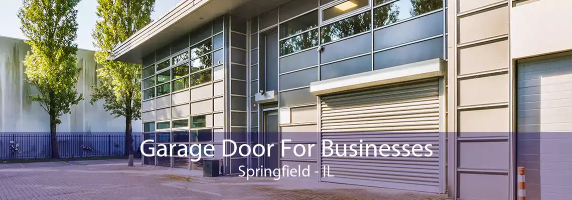 Garage Door For Businesses Springfield - IL