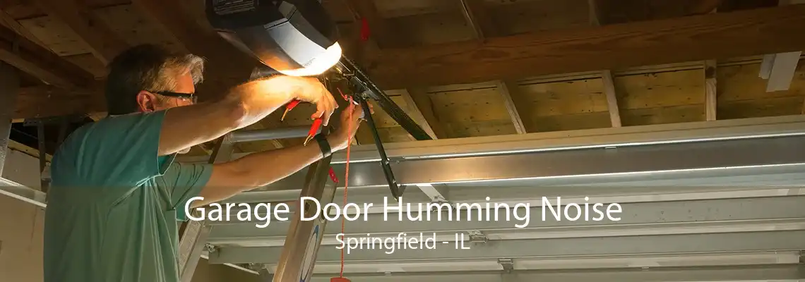 Garage Door Humming Noise Springfield - IL