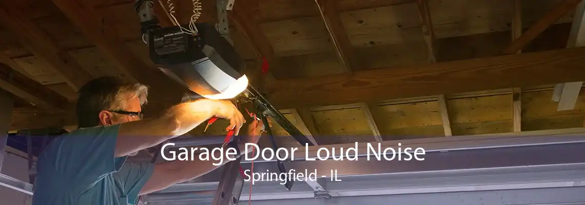 Garage Door Loud Noise Springfield - IL