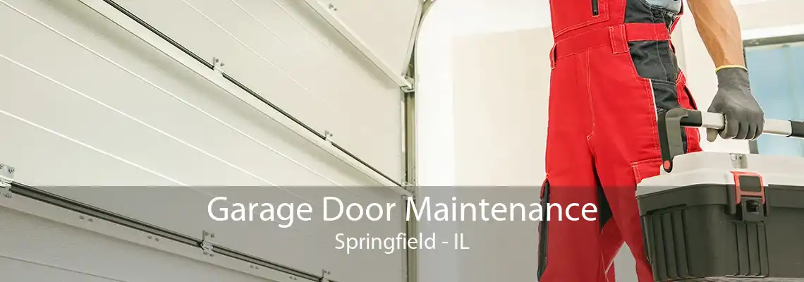 Garage Door Maintenance Springfield - IL