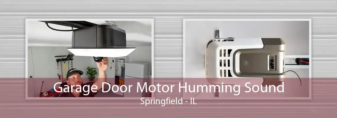 Garage Door Motor Humming Sound Springfield - IL