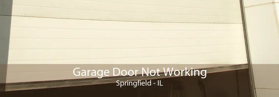 Garage Door Not Working Springfield - IL