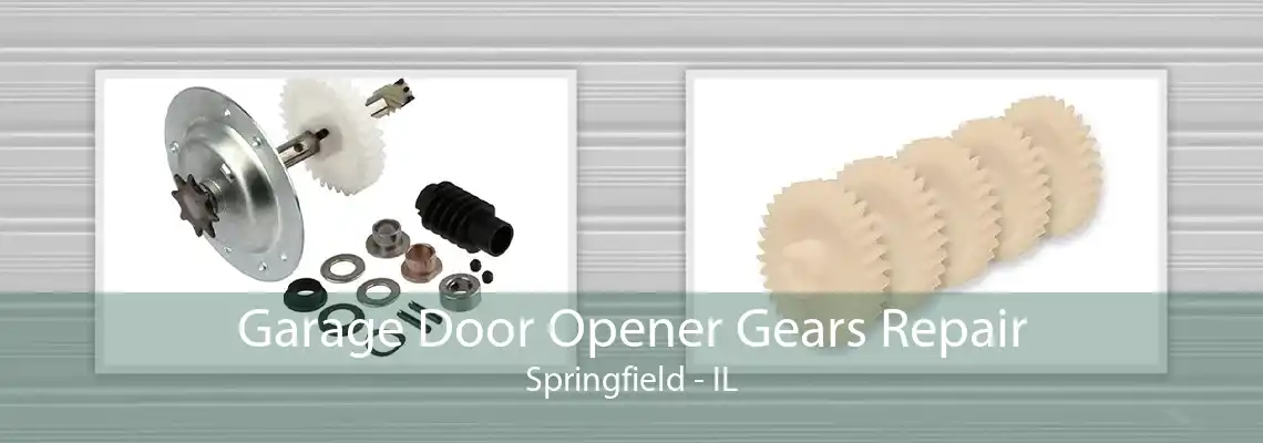 Garage Door Opener Gears Repair Springfield - IL