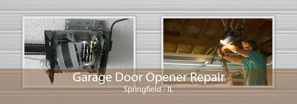 Garage Door Opener Repair Springfield - IL