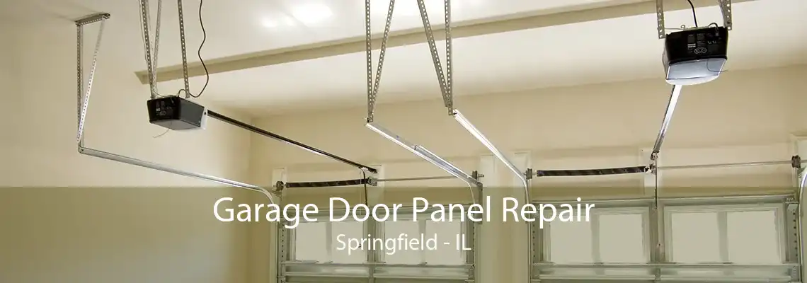 Garage Door Panel Repair Springfield - IL