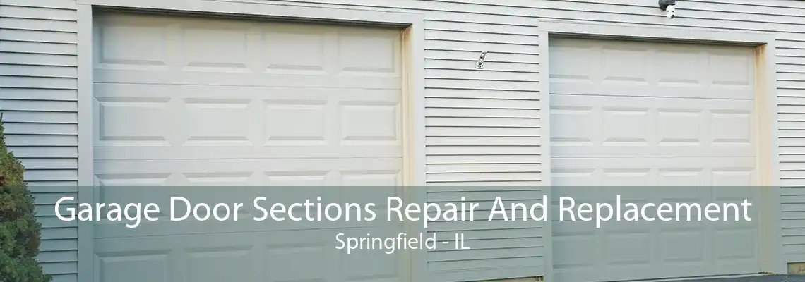 Garage Door Sections Repair And Replacement Springfield - IL