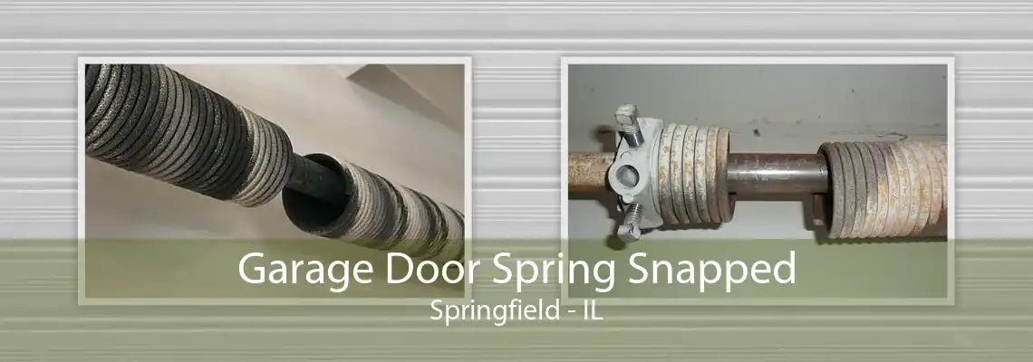 Garage Door Spring Snapped Springfield - IL