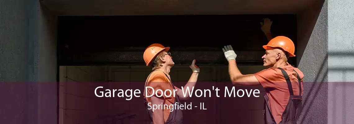 Garage Door Won't Move Springfield - IL