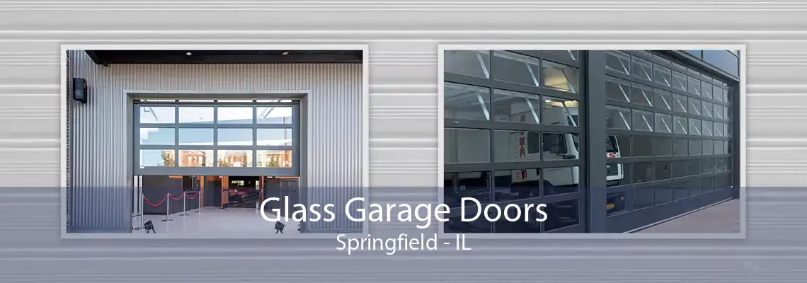 Glass Garage Doors Springfield - IL