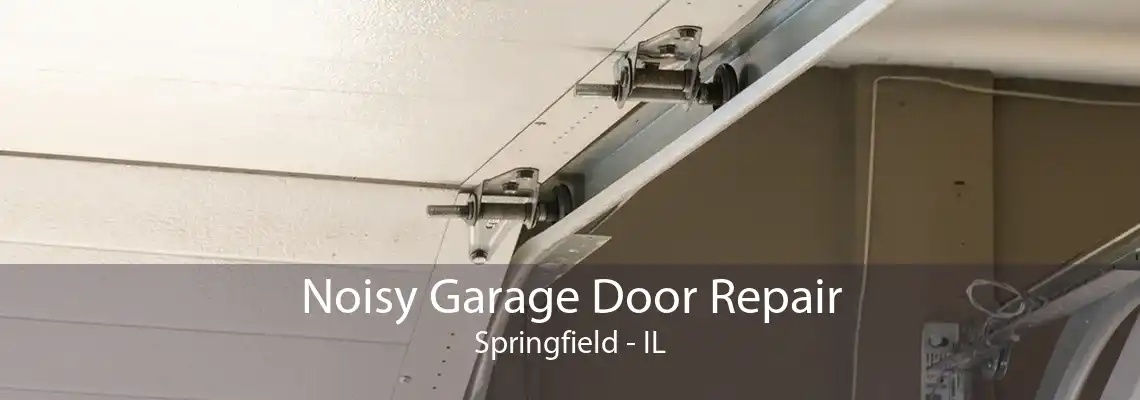 Noisy Garage Door Repair Springfield - IL