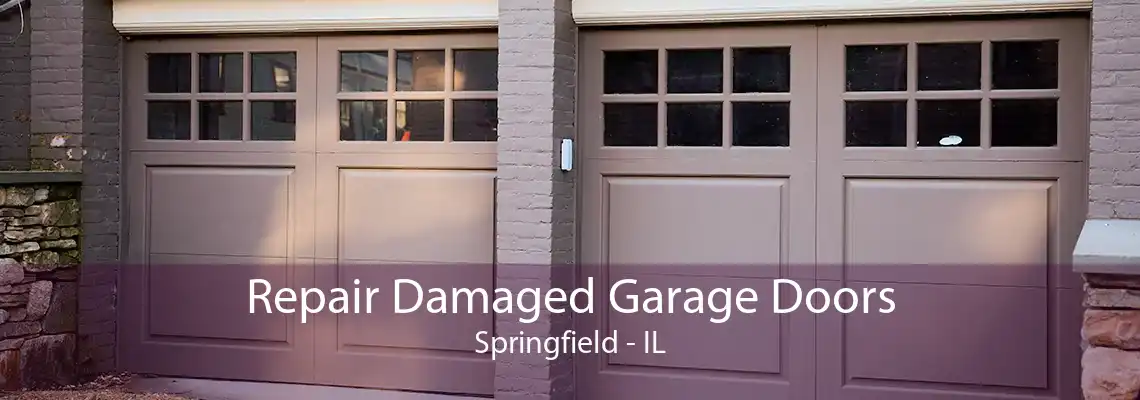 Repair Damaged Garage Doors Springfield - IL