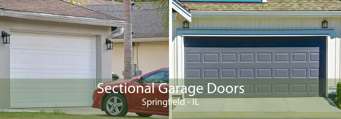 Sectional Garage Doors Springfield - IL